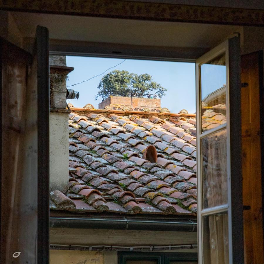 Ferienwohnung Casa Anna Lucca Exterior foto